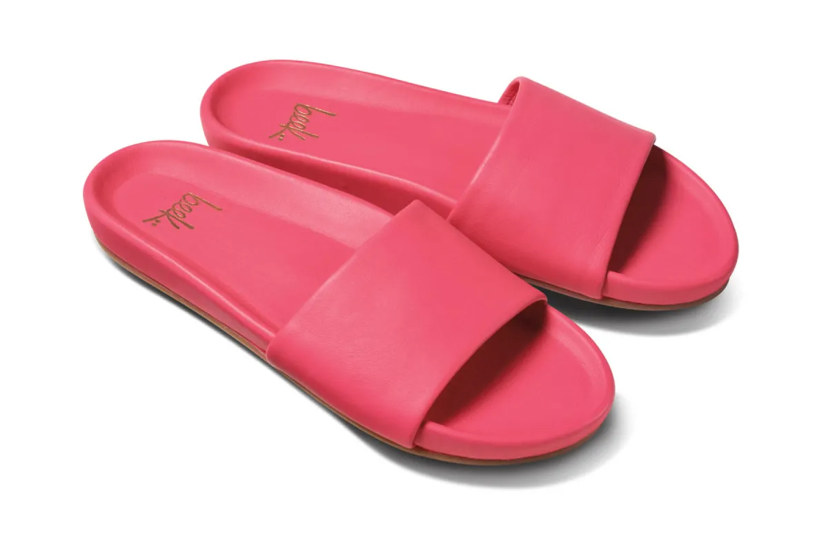 GALLITO - Azalea sold by beek