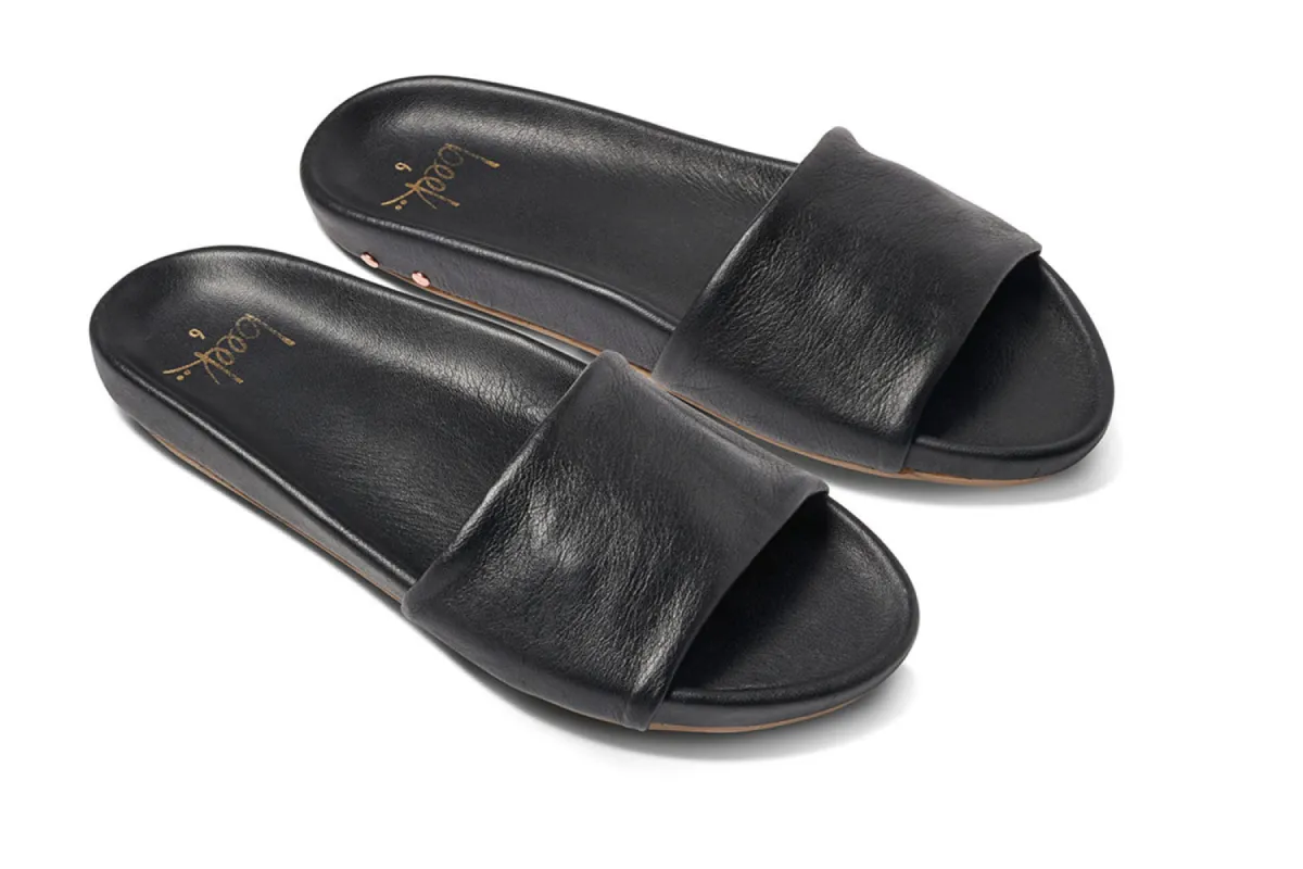 GALLITO - Black sold by beek
