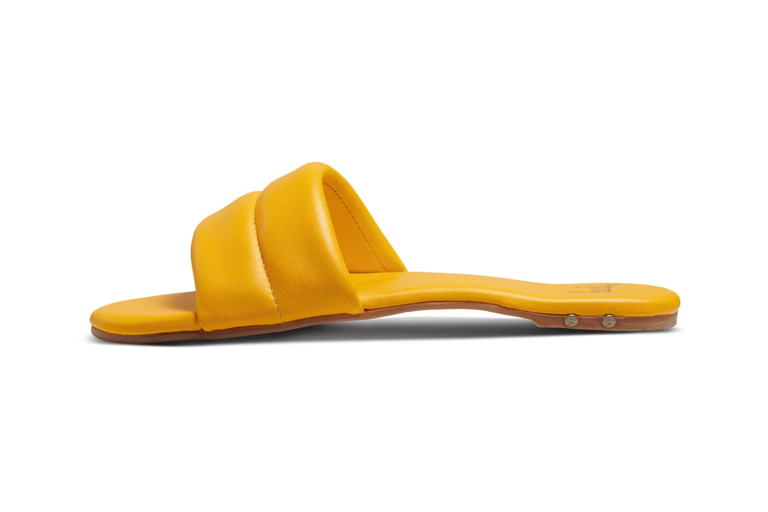 SUGARBIRD - Sunflower sold by beek product image thumbnail 4