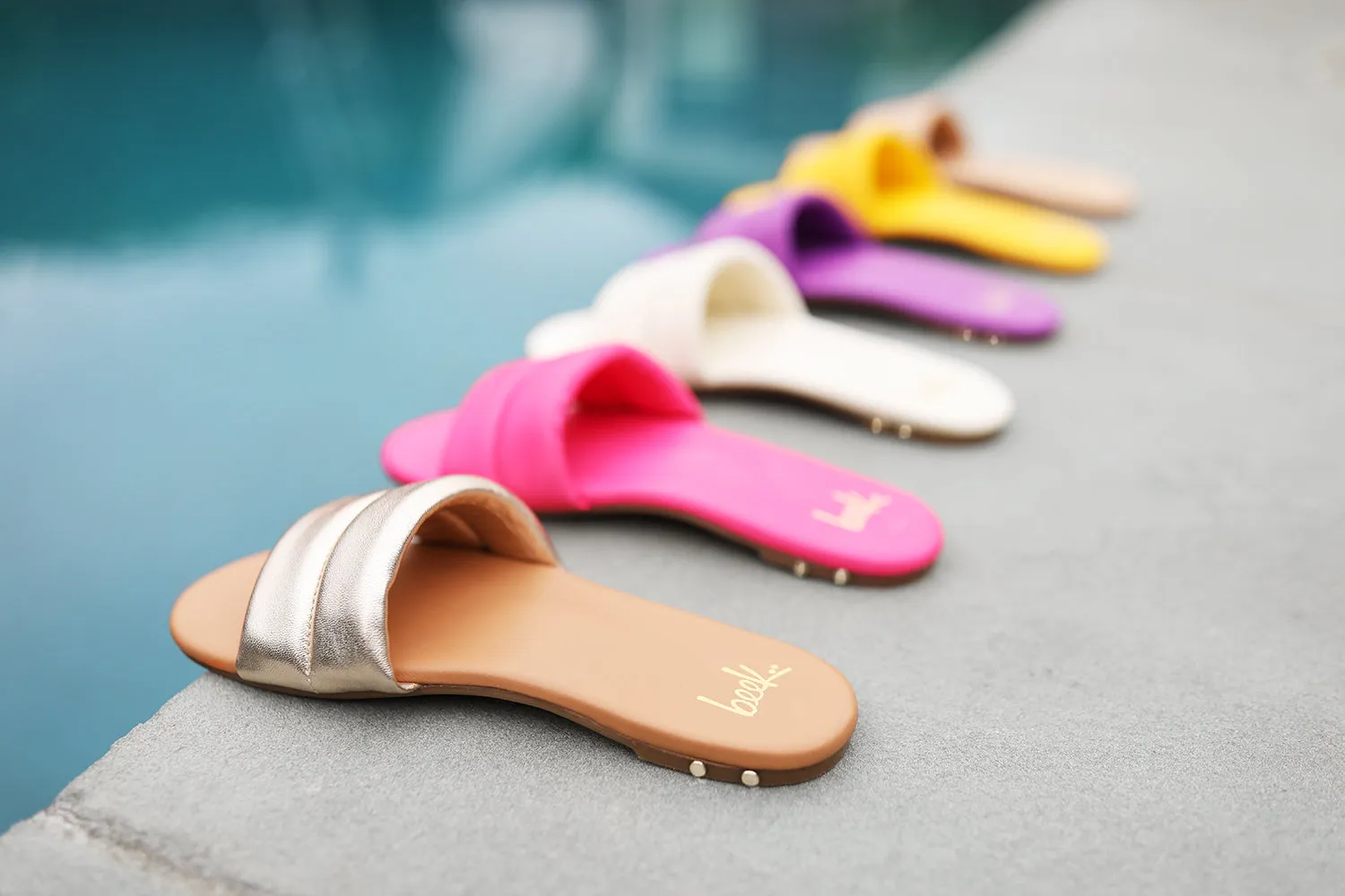 SUGARBIRD - Sunflower sold by beek product image thumbnail 3