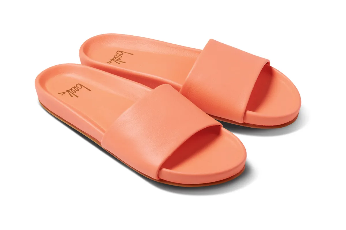 GALLITO - Coral sold by beek