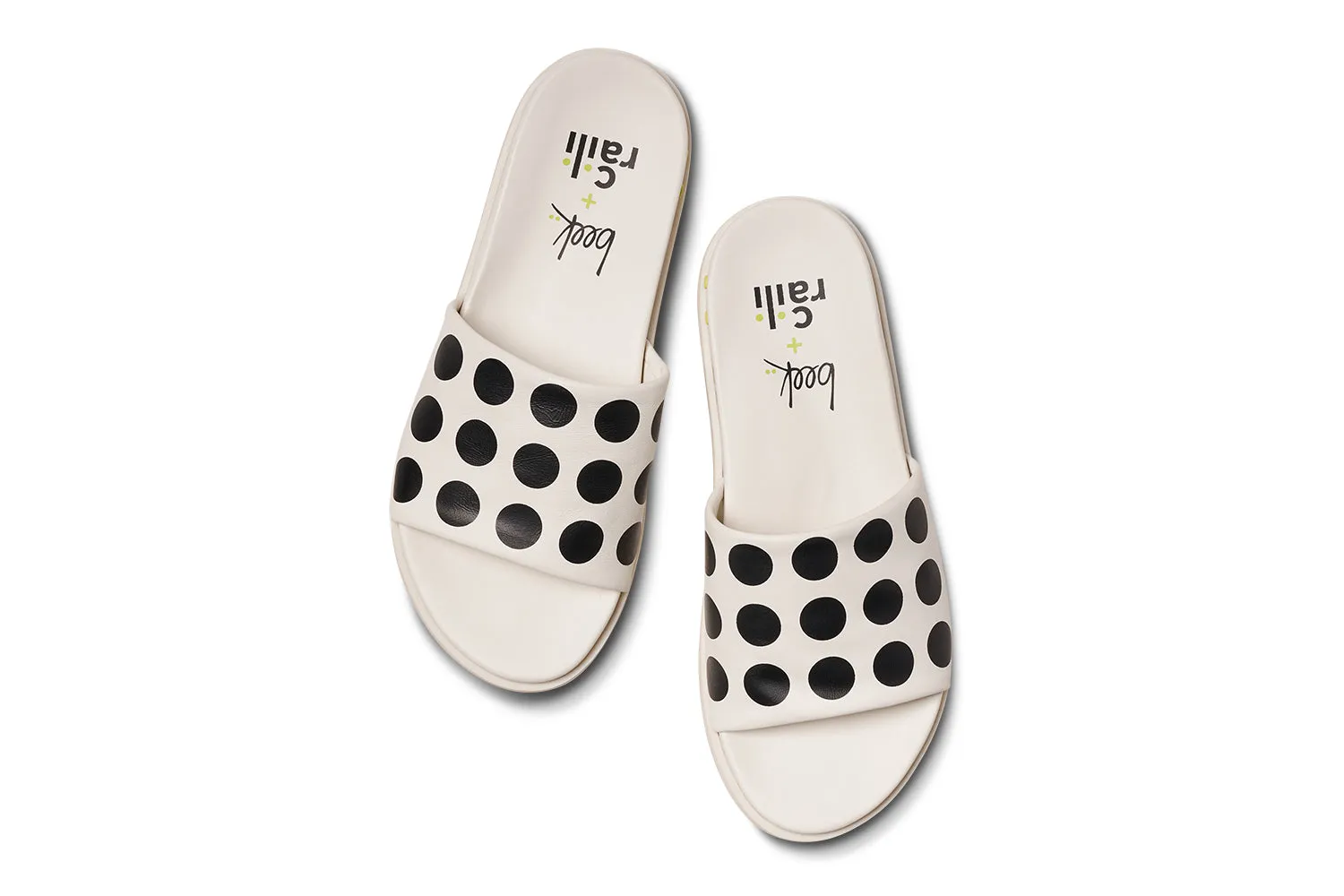 RAILIBIRD - Dot sold by beek product image thumbnail 4