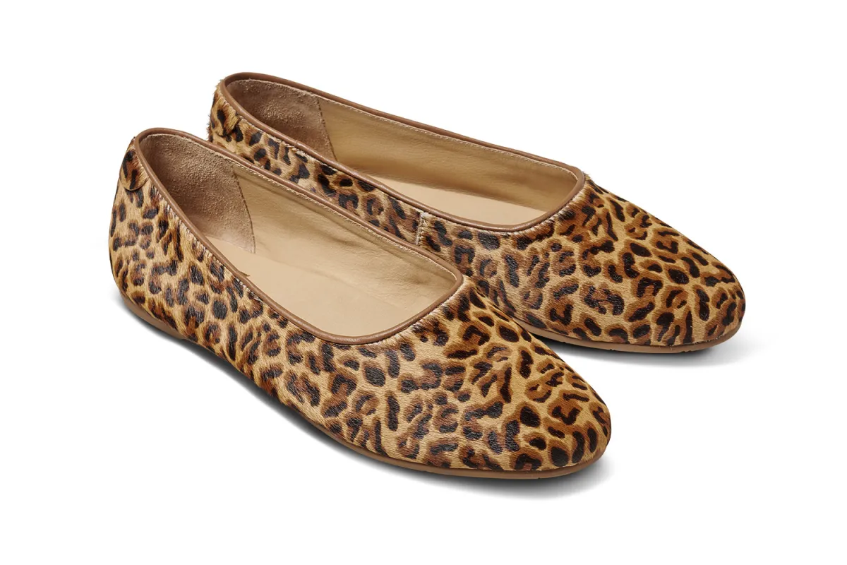 SWIFTLET - Leopard sold by beek