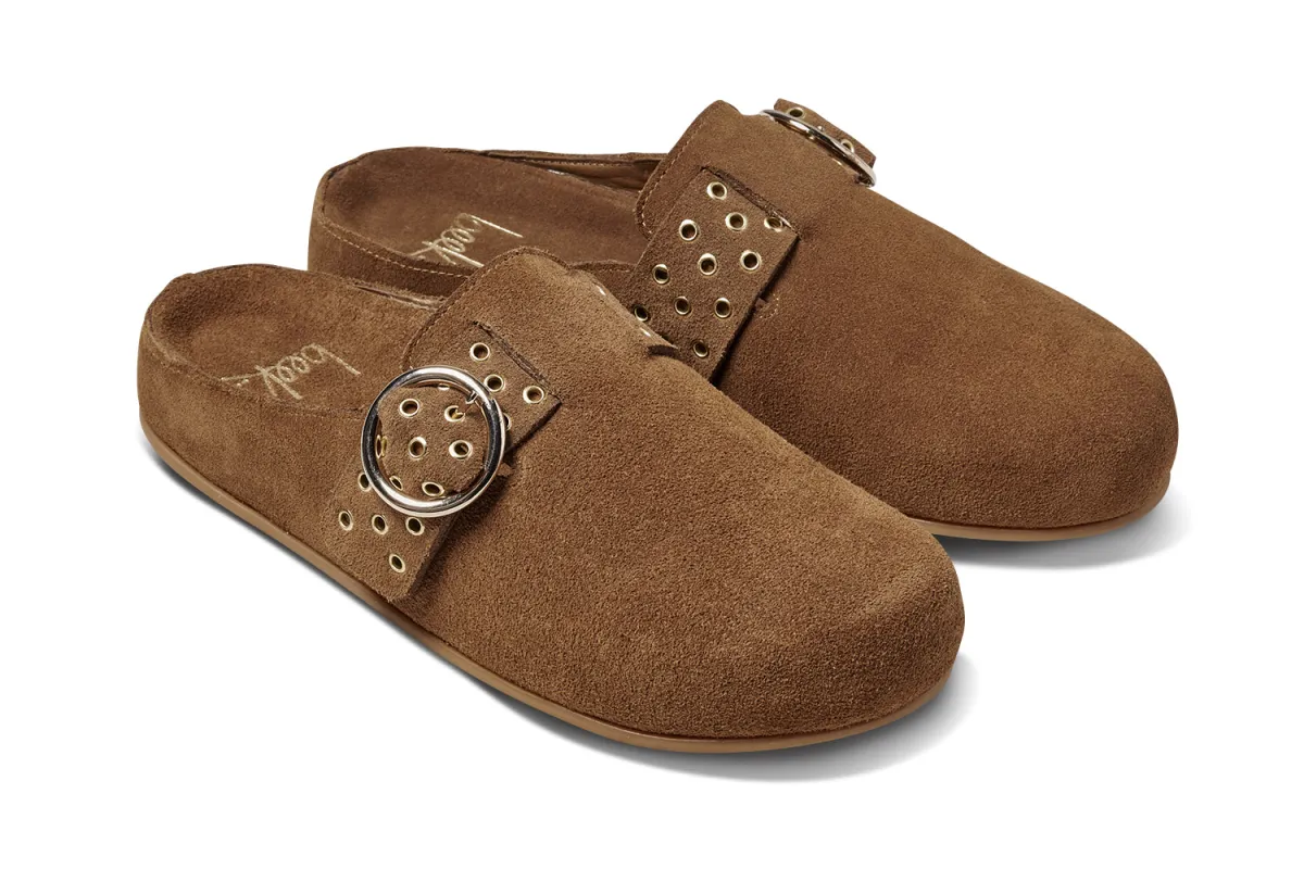 COMET - Chestnut sold by beek