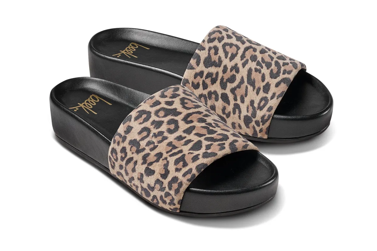 PELICAN - Leopard sold by beek