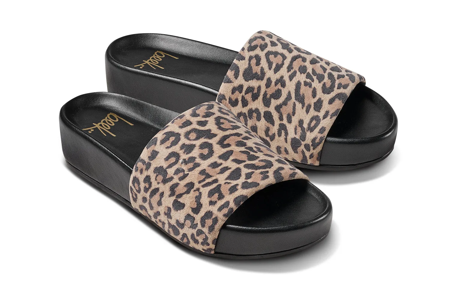 PELICAN - Leopard sold by beek