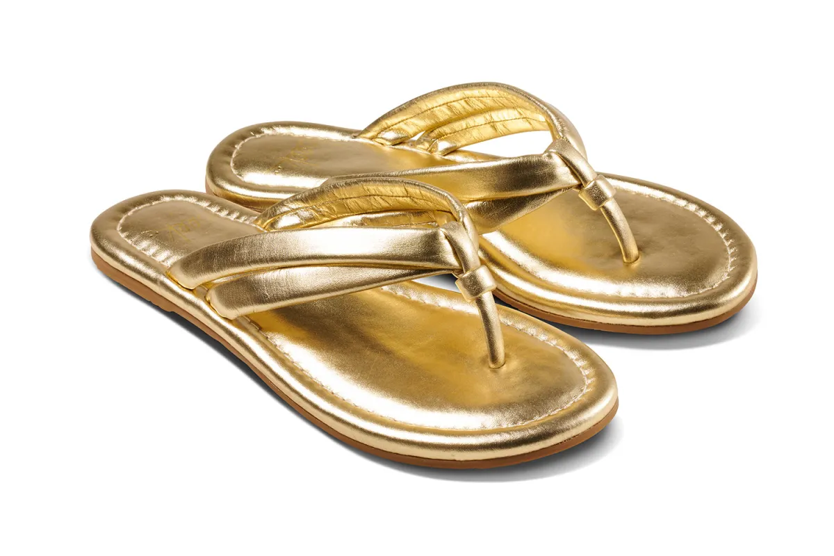 TOUCAN - Gold sold by beek