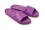 GALLITO - Iris sold by beek