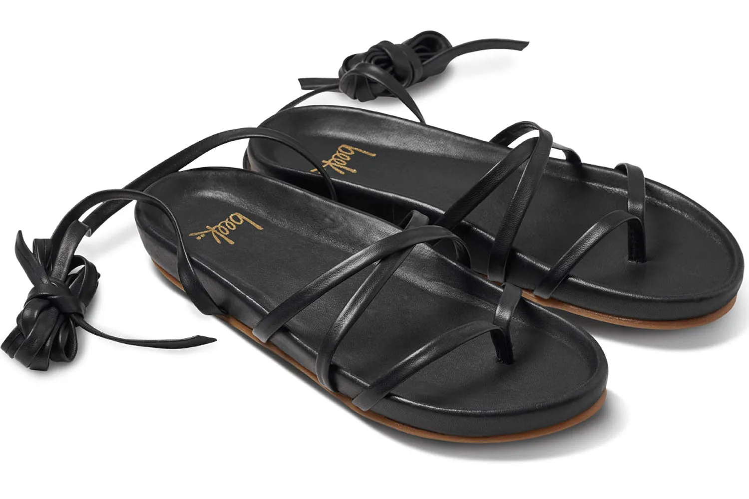 CANARY - Black sold by beek