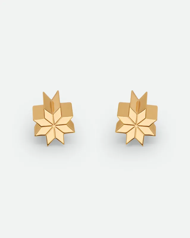 Сережки Зірки (Pre-Order) made by Bevza