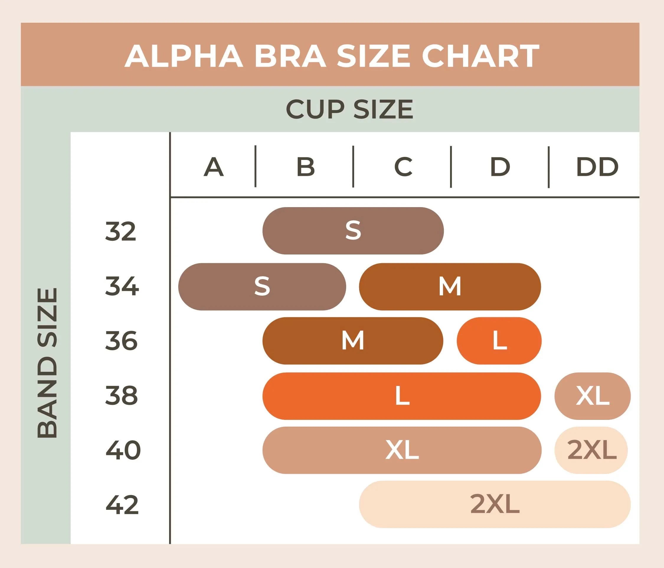 Floatley 3-Pack Cozy Bra & Cozy Wireless Scalloped Bra sold by Floatley product image thumbnail 5