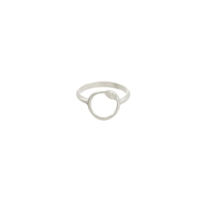 Snake Circle Ring sold by Catherine Weitzman Jewelry