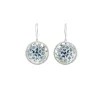Small Ombre Botanical Earrings sold by Catherine Weitzman Jewelry
