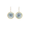 Small Ombre Botanical Earrings sold by Catherine Weitzman Jewelry