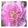Small Interlocking Branches Necklace sold by Catherine Weitzman Jewelry
