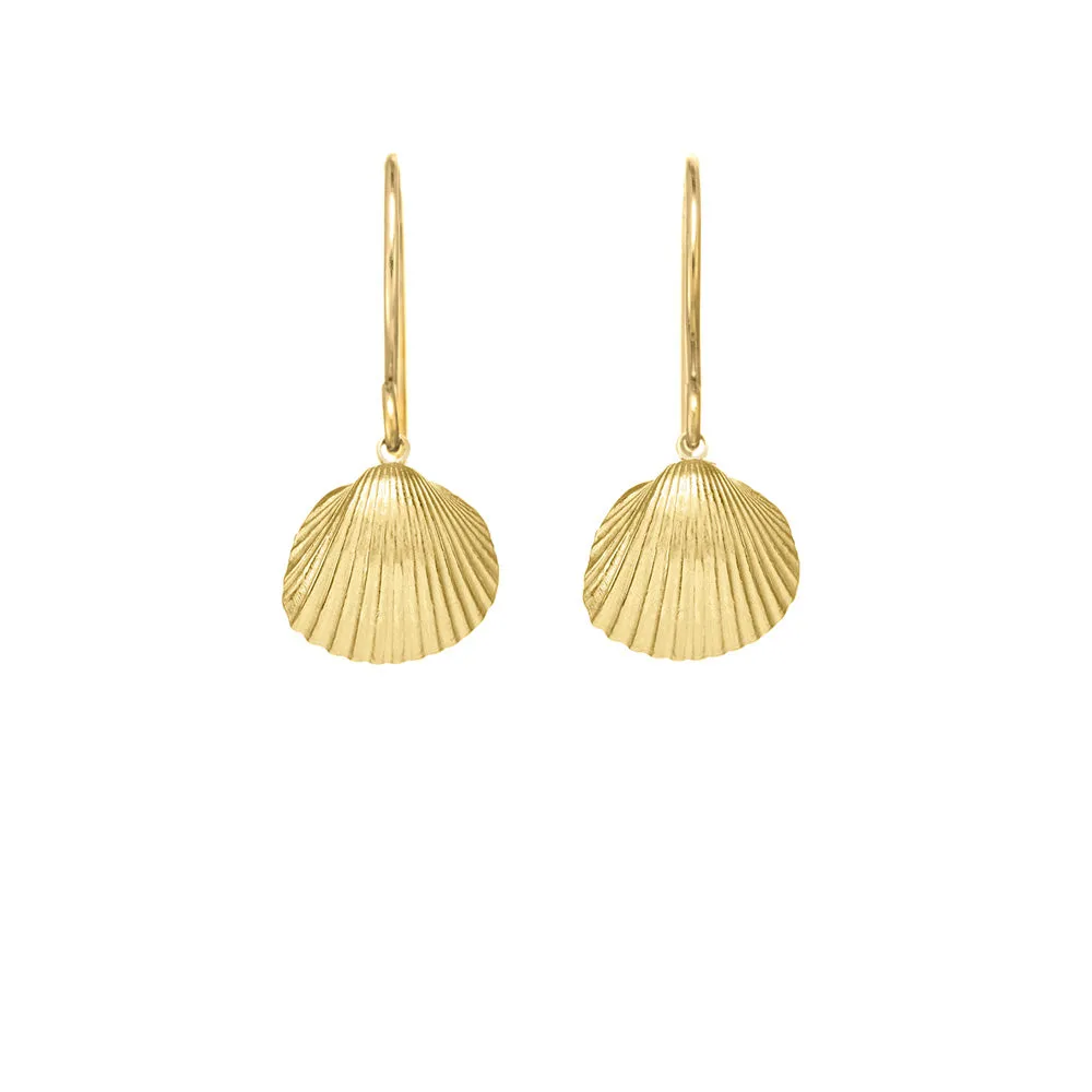Small Sun Shell Earrings sold by Catherine Weitzman Jewelry product image thumbnail 2