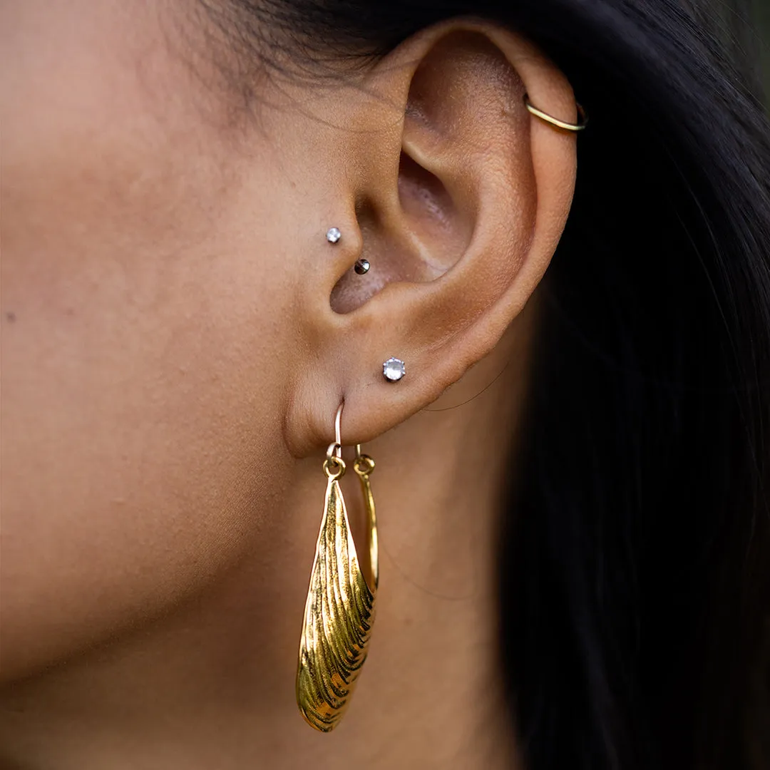 Serenity Shell Earrings sold by Catherine Weitzman Jewelry product image thumbnail 2