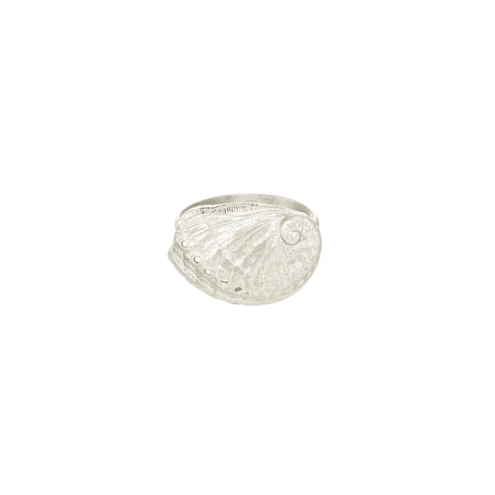Abalone Shell Ring sold by Catherine Weitzman Jewelry
