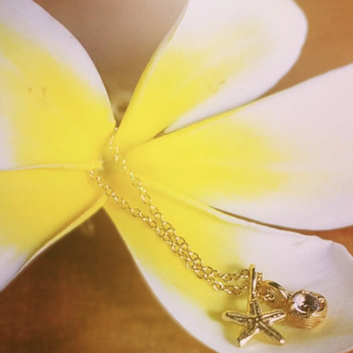 Mini Nautical Charm With Solitaire Necklace sold by Catherine Weitzman Jewelry product image thumbnail 2