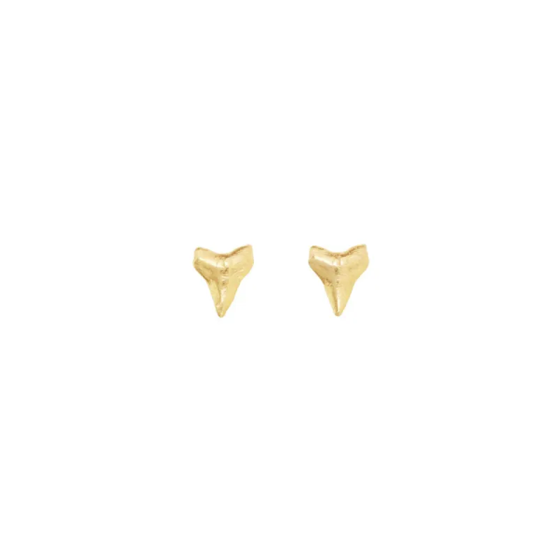 Mini Shark Tooth Posts sold by Catherine Weitzman Jewelry