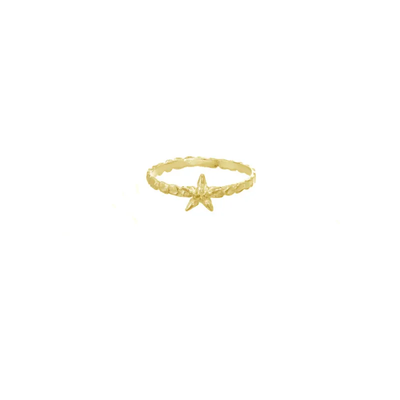 Mini Star Flower Ring sold by Catherine Weitzman Jewelry