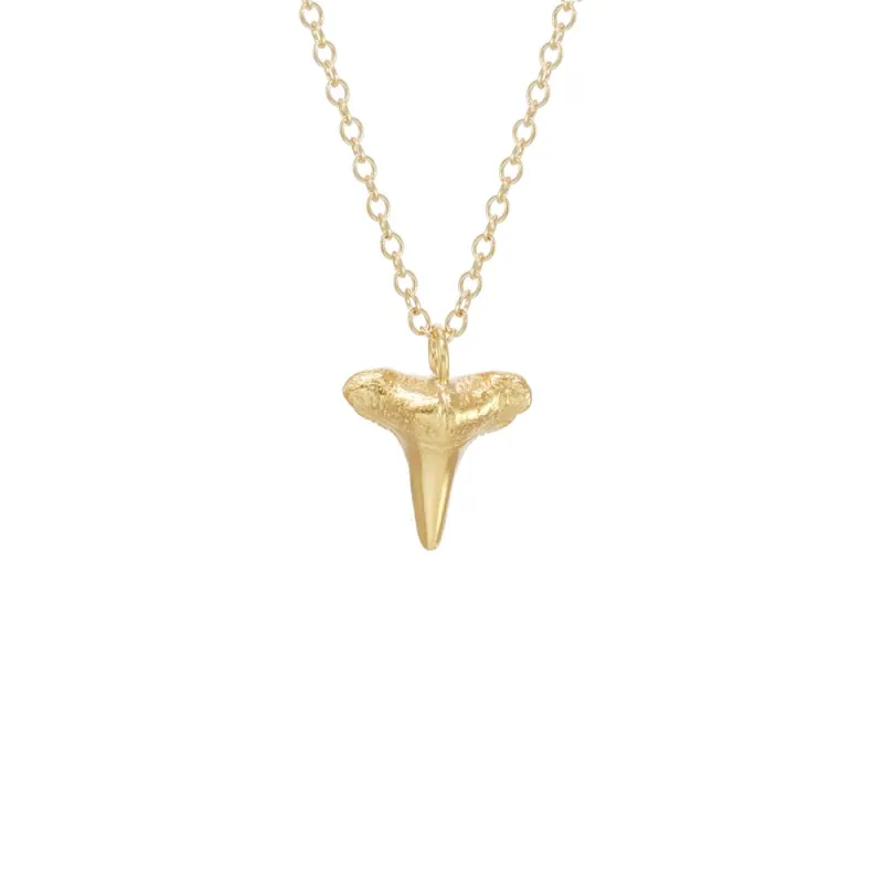 Small Shark Tooth Necklace sold by Catherine Weitzman Jewelry