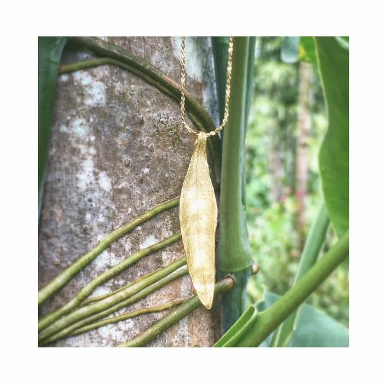 Olive Leaf Necklace sold by Catherine Weitzman Jewelry product image thumbnail 2