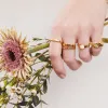 ASTRA SIGNET RING GOLD sold by FYB JEWELRY