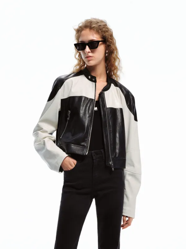 PU Leather Contrast Jacket sold by Mo&Co
