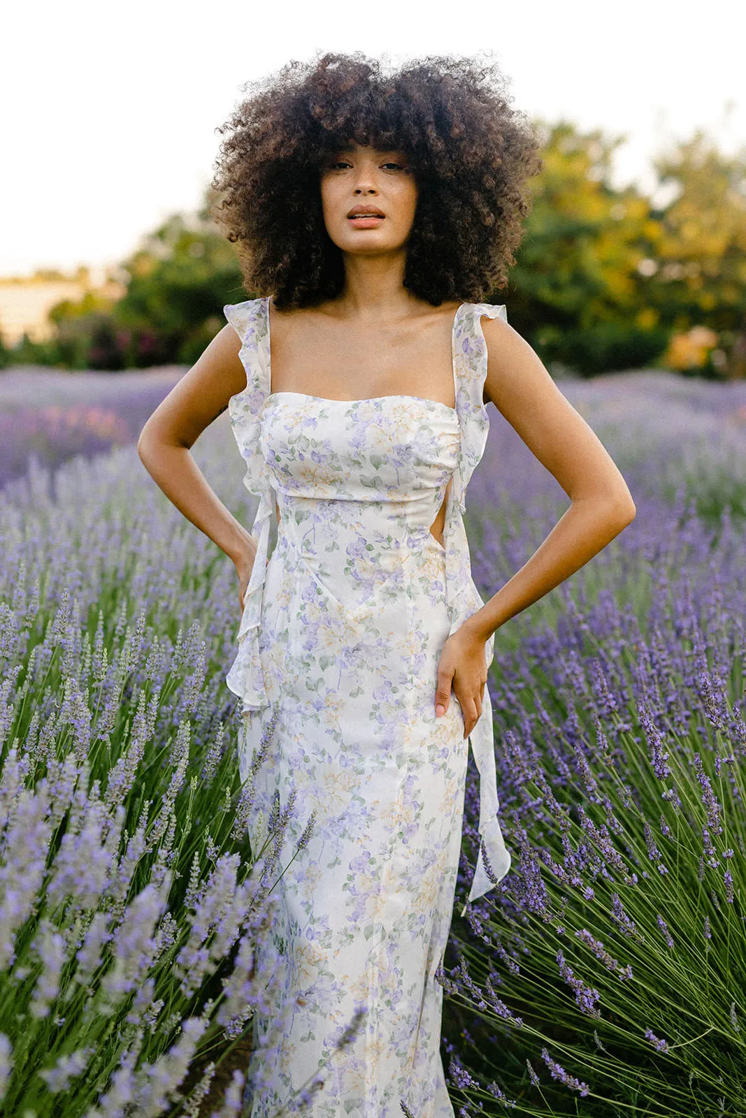 Melanie Chiffon Maxi Dress sold by Morning Lavender product image thumbnail 4