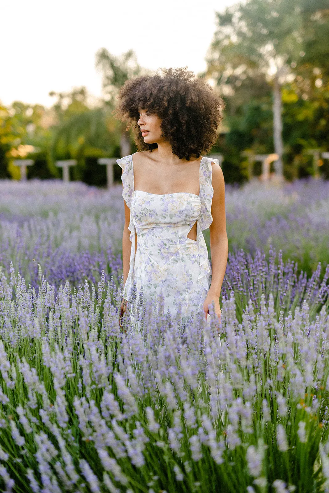 Melanie Chiffon Maxi Dress sold by Morning Lavender product image thumbnail 5