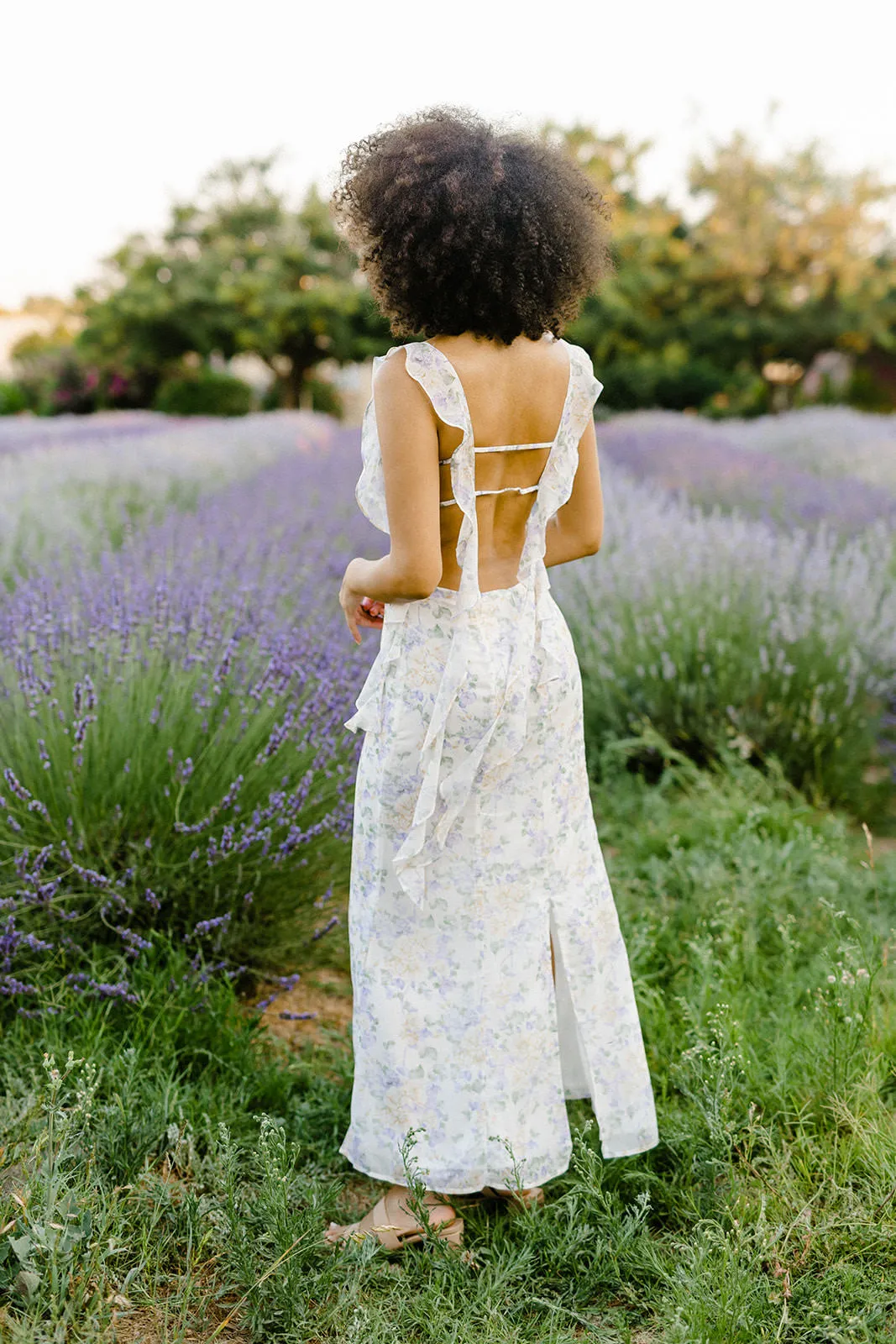 Melanie Chiffon Maxi Dress sold by Morning Lavender product image thumbnail 3
