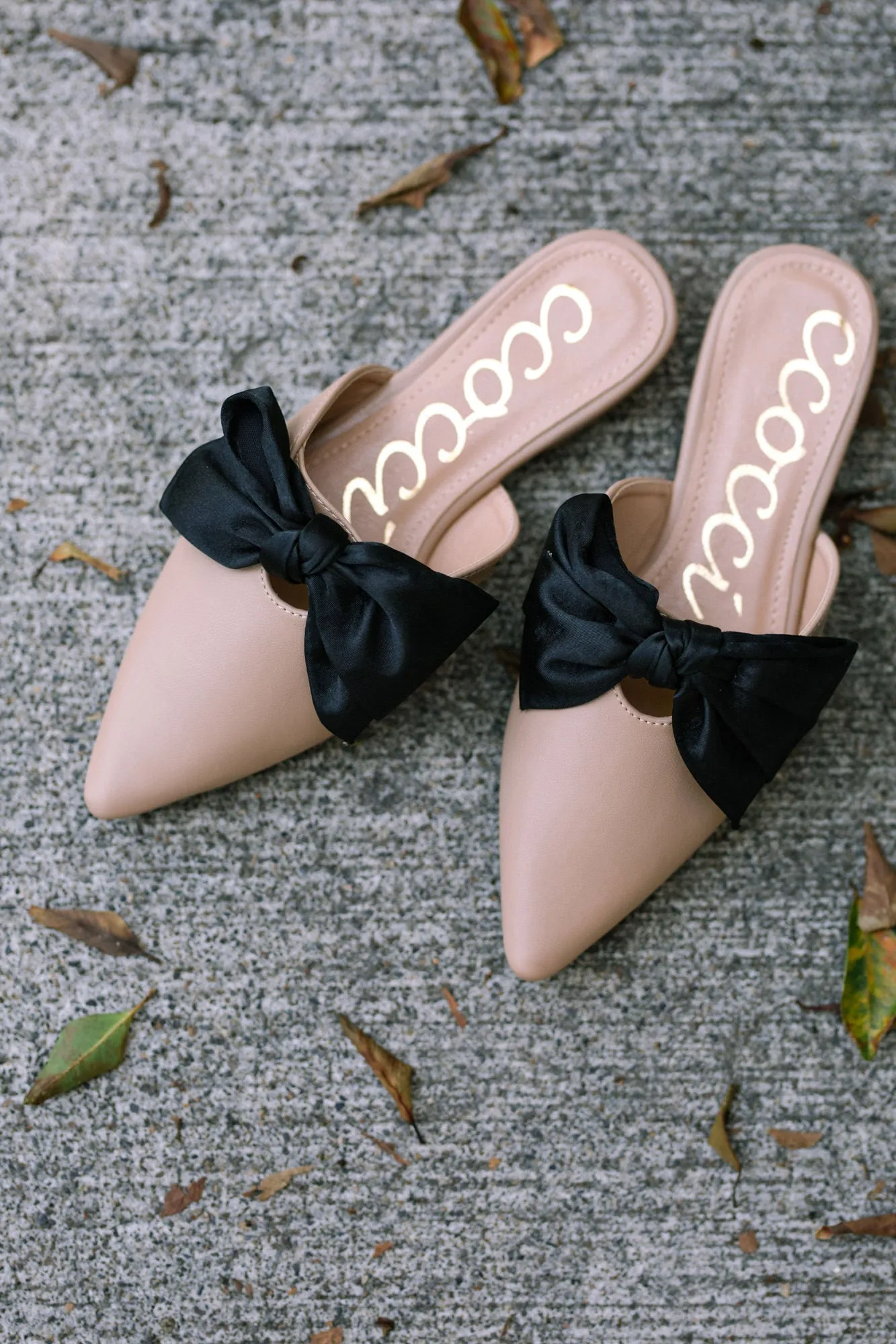 Valerie Pointed Bow Flats sold by Morning Lavender product image thumbnail 2