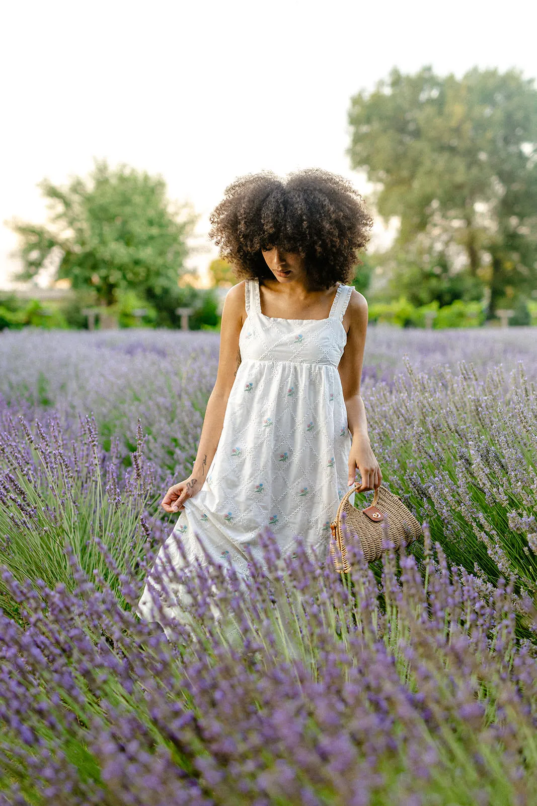 Alondra Embroidered Eyelet Dress sold by Morning Lavender product image thumbnail 4
