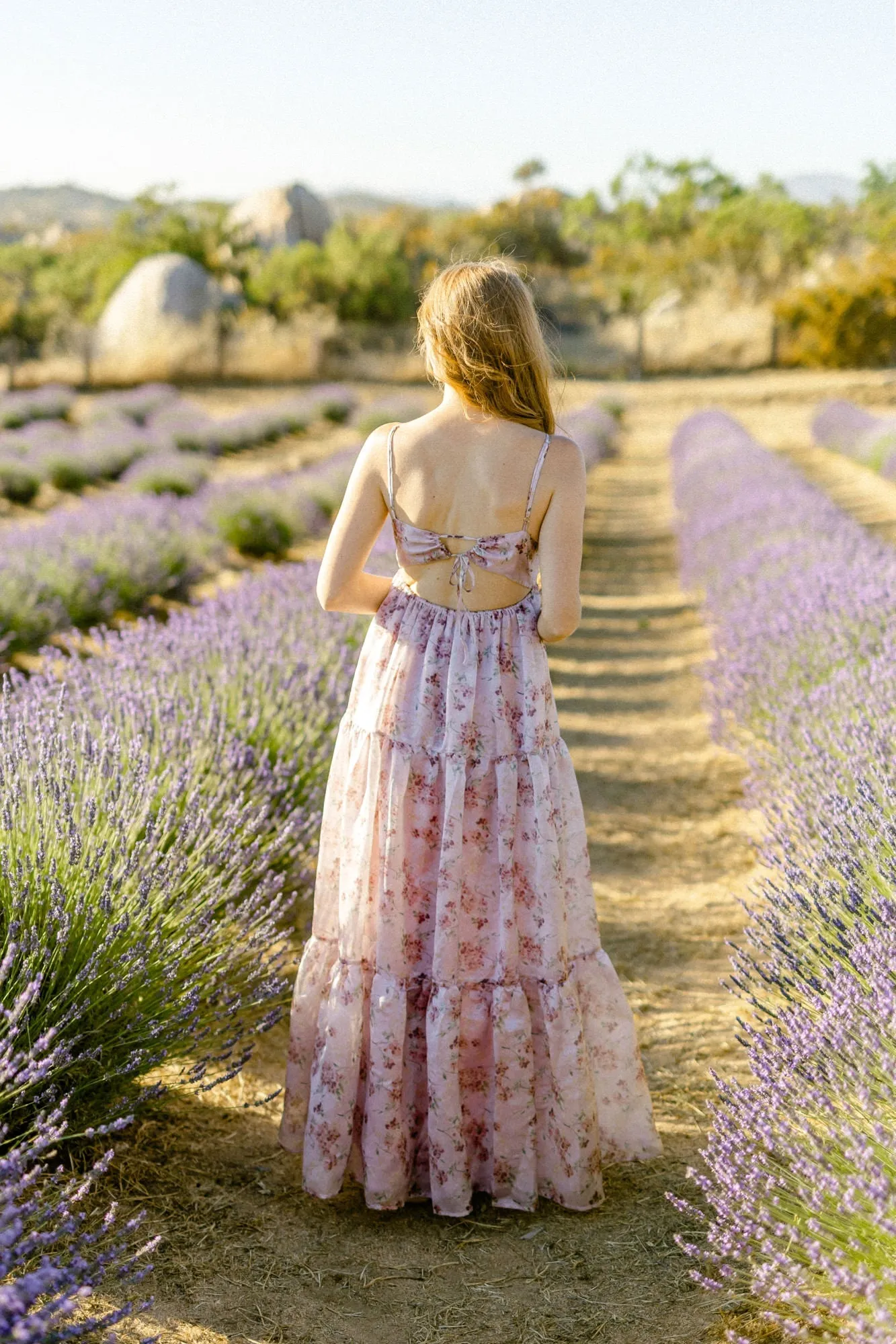 Paulina Sweetheart Maxi Dress sold by Morning Lavender product image thumbnail 3