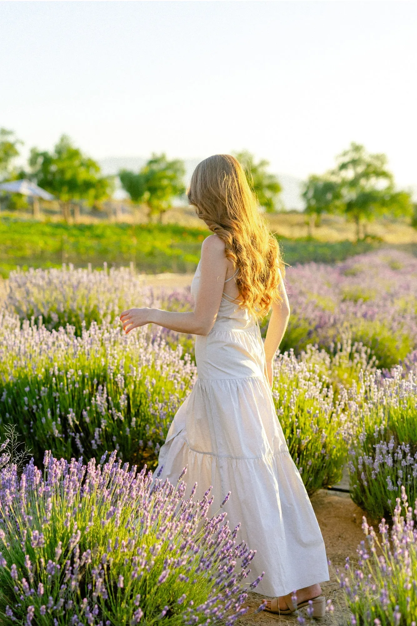 Vera Poplin Buttoned Dress sold by Morning Lavender product image thumbnail 3