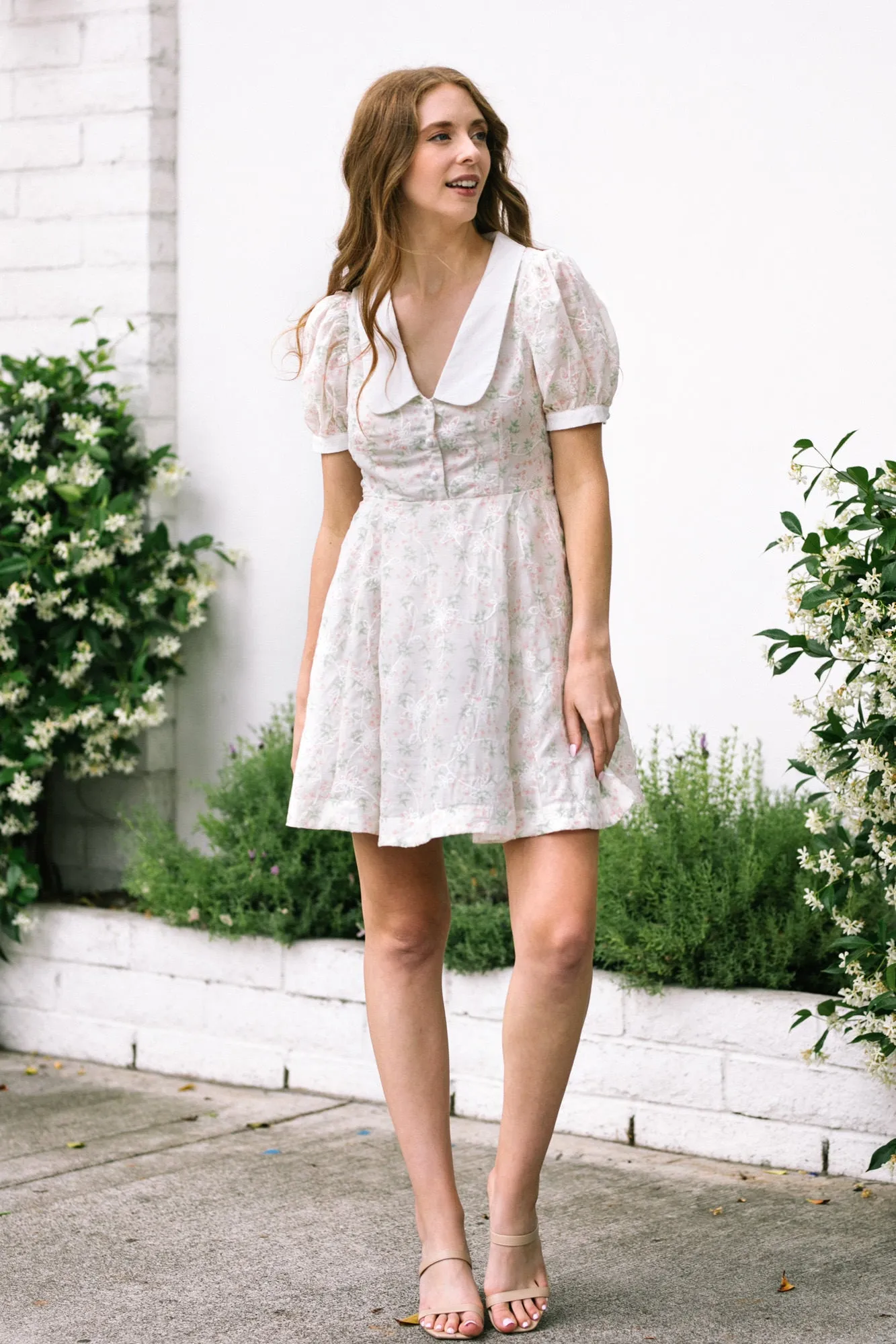 Chriselle Collared Mini Dress sold by Morning Lavender product image thumbnail 5