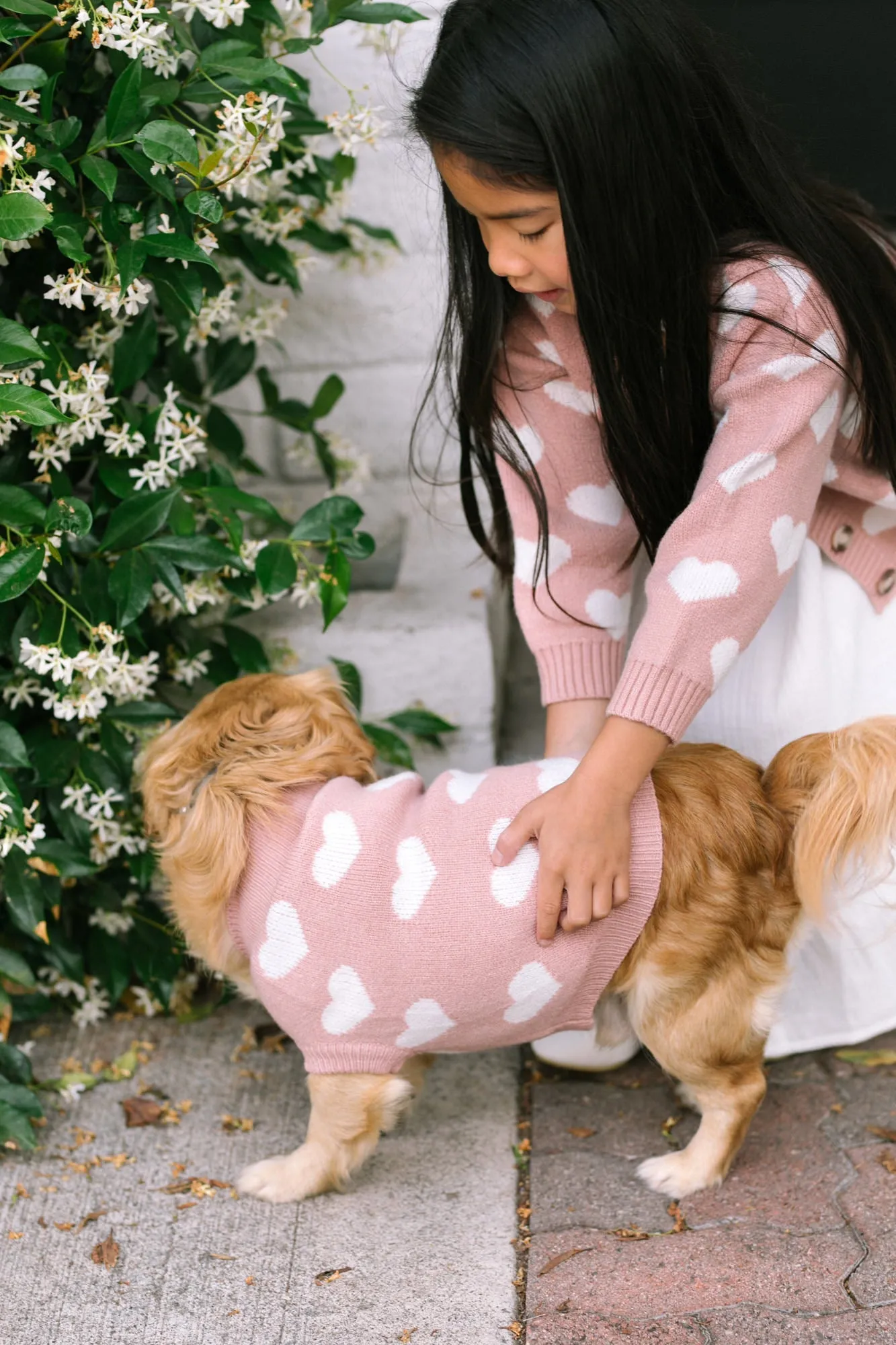 Meredith Heart Dog Sweater sold by Morning Lavender product image thumbnail 5