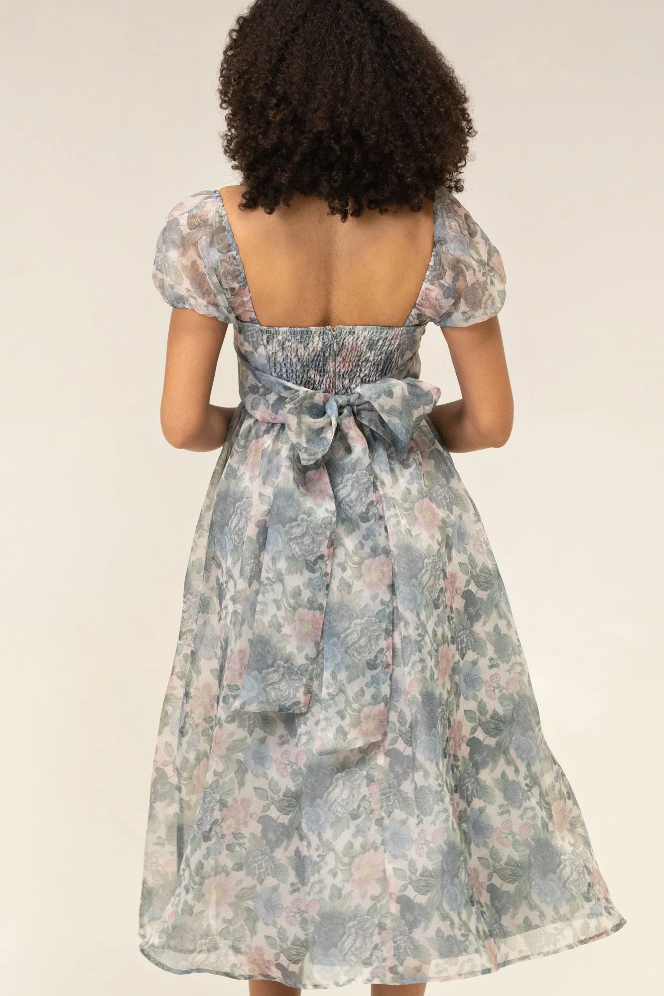 Sophia Floral Organza Dress sold by Morning Lavender product image thumbnail 5