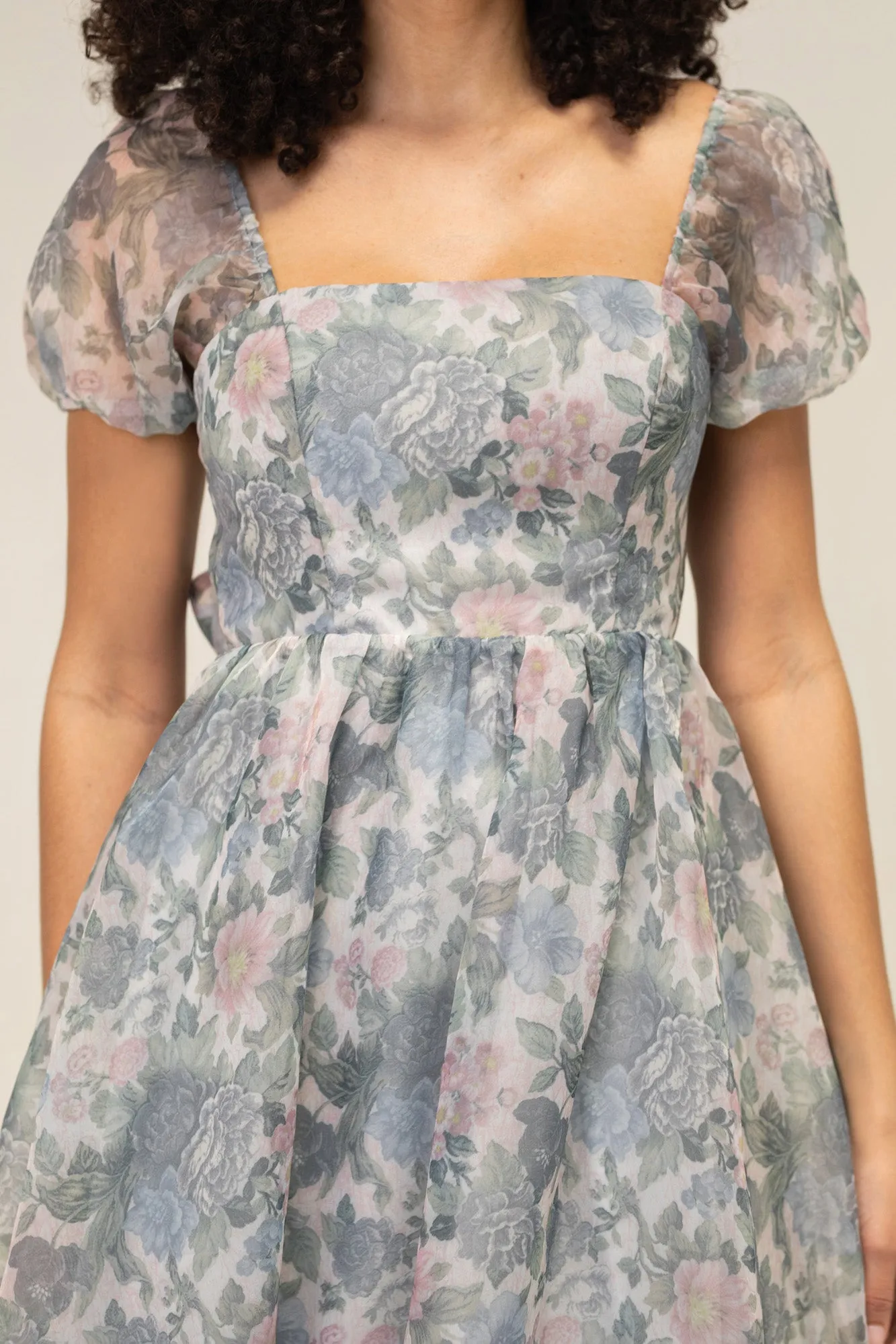 Sophia Floral Organza Dress sold by Morning Lavender product image thumbnail 4