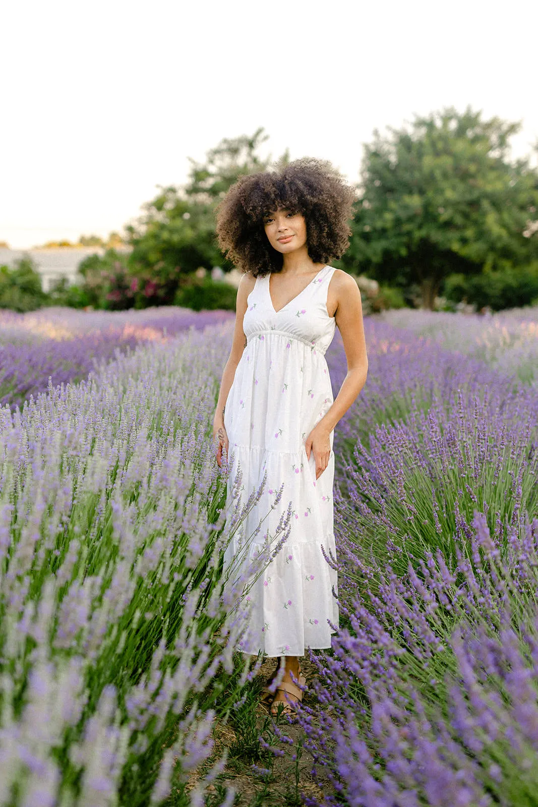 Darla Embroidered Tiered Dress sold by Morning Lavender