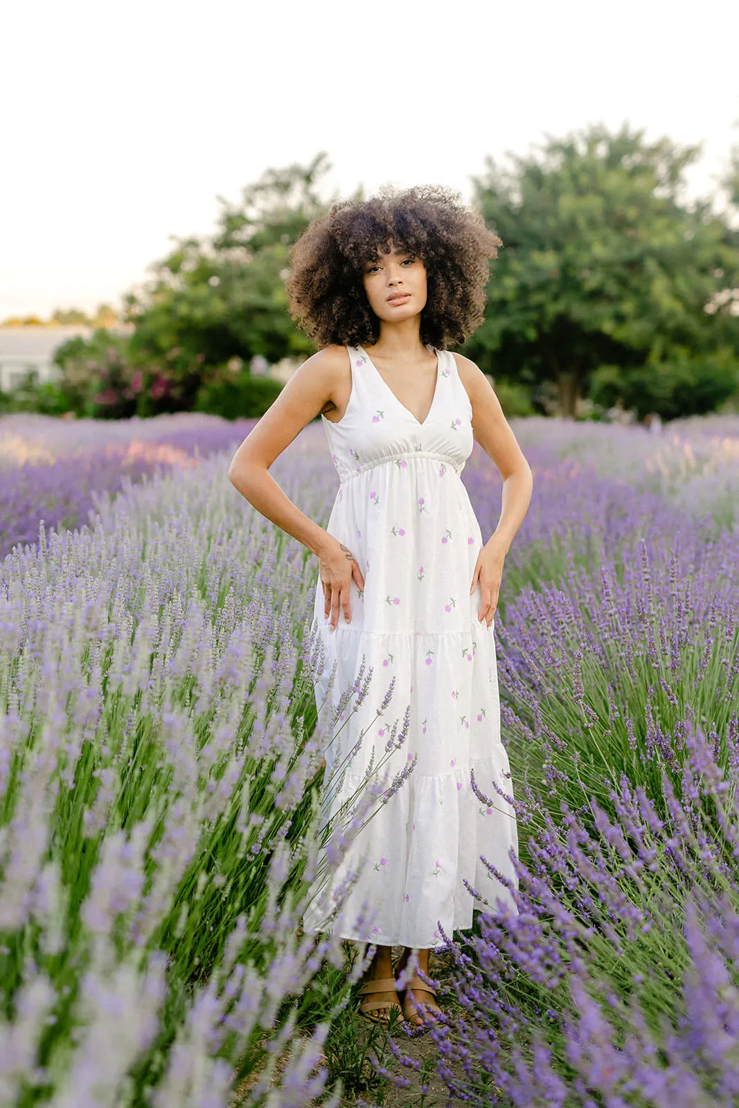 Darla Embroidered Tiered Dress sold by Morning Lavender product image thumbnail 4