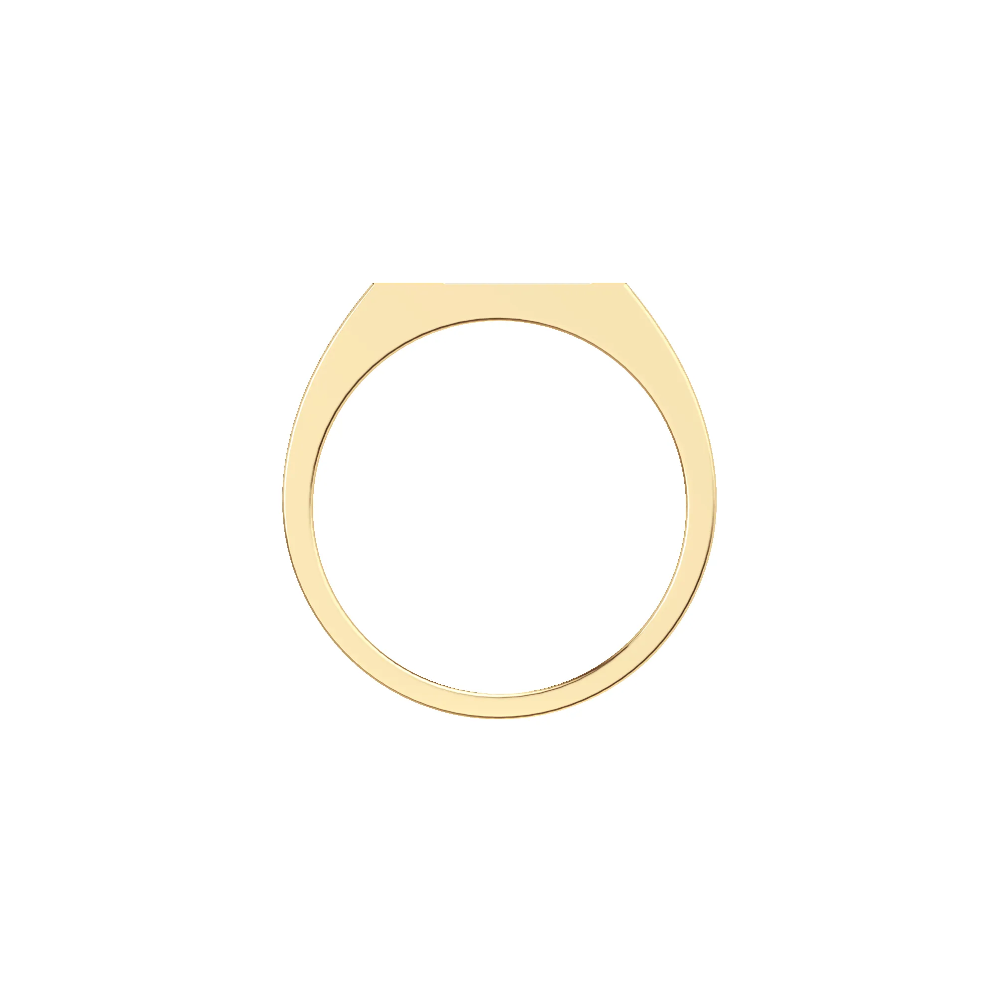 Thin Geo Pave Gemstone Signet Ring sold by Pascal Design Official product image thumbnail 4