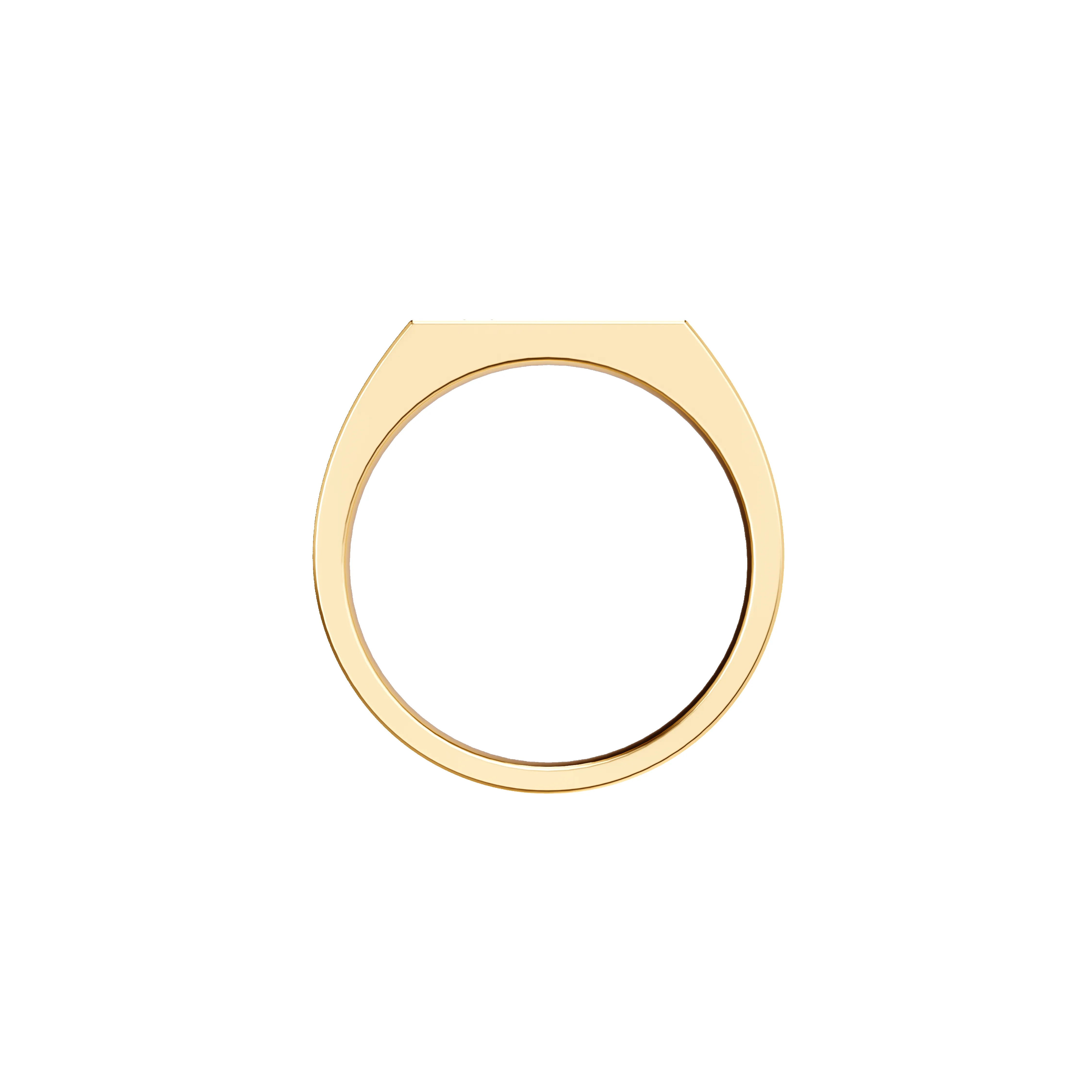 Thin Geo Gemstone Signet Ring sold by Pascal Design Official product image thumbnail 4