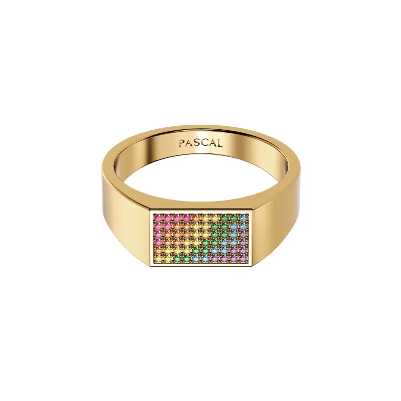 'Pride' Geo Pavé Gemstone Signet Ring sold by Pascal Design Official