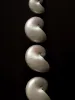 Lalani Earrings -Silver sold by Banks Jewelry