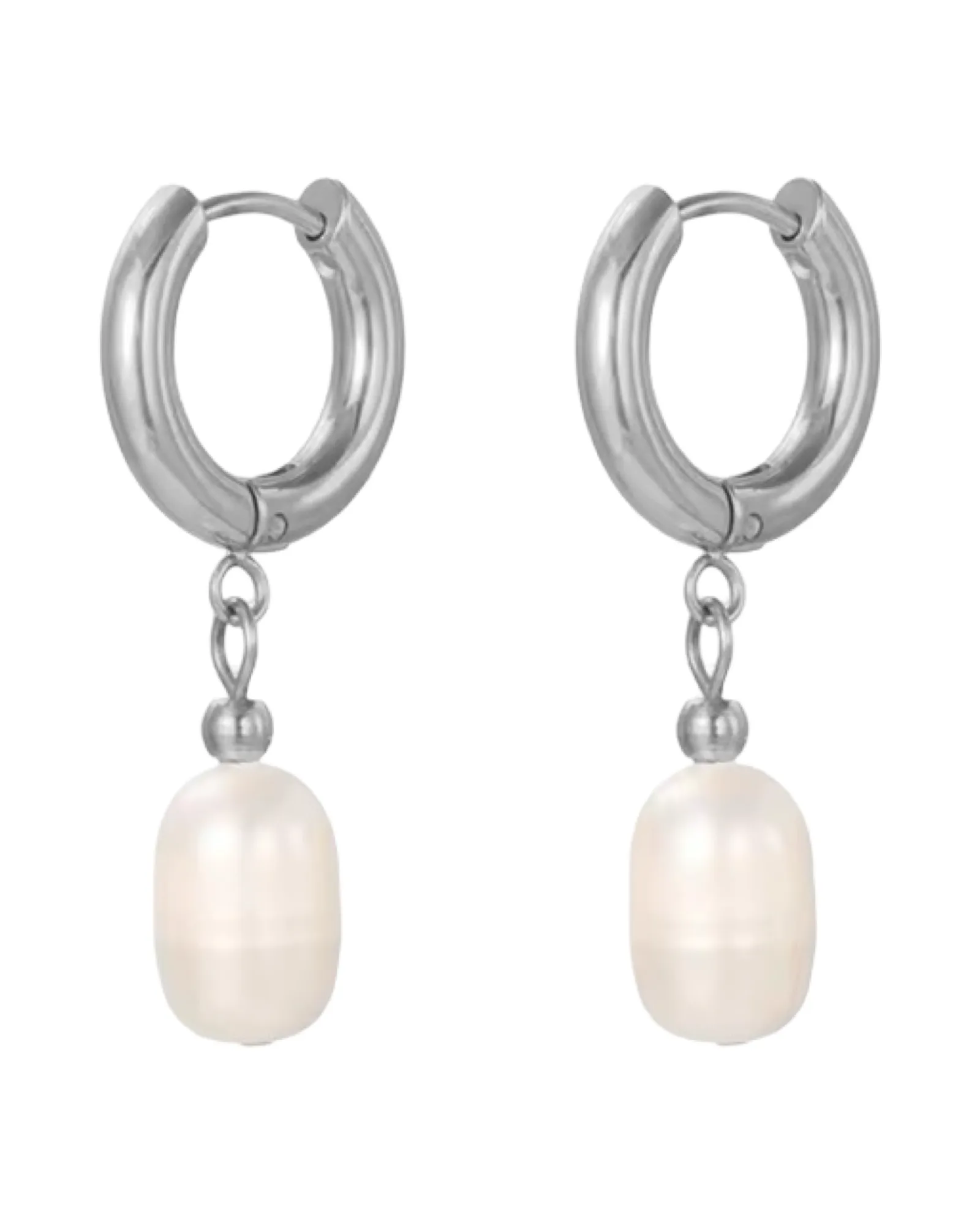 Lalani Earrings -Silver sold by Banks Jewelry