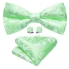 Turquoise Green Paisley Silk Pre Tied Bow Tie Hanky Cufflinks Set sold by Barrywang