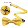 Barry Wang Gold Yellow Paisley Pre-tied Bow Tie Hanky Cufflinks Set sold by Barrywang