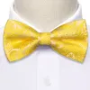 Barry Wang Gold Yellow Paisley Pre-tied Bow Tie Hanky Cufflinks Set sold by Barrywang